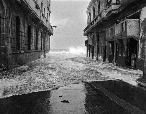 raul canibano