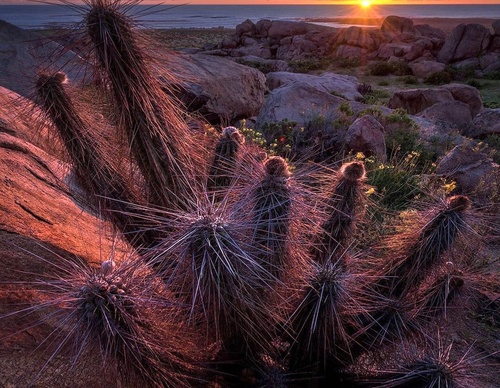 Gallery Of Photography By Jaime Garcés - Chile