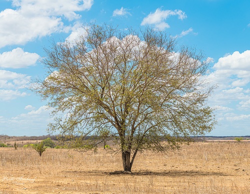 Gallery Of Photography By Norberto Kreutzer Fruhauf - Brazil