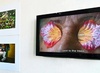 From the Havana Biennial to Chile