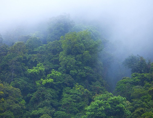 costa rica jim zuckerman