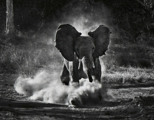 Galería de fotografía de Sebastião Salgado - Brasil