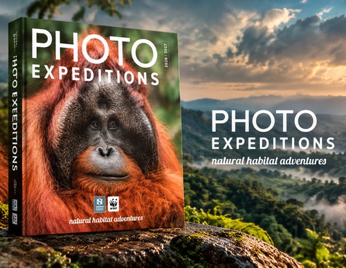PHOTO EXPEDITIONS