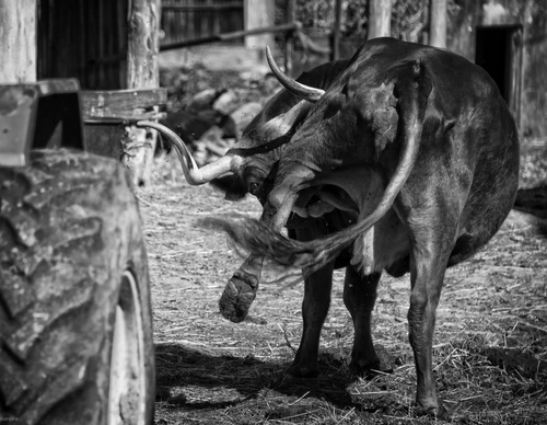 Gallery Of Photography By João Madureira - Portugal