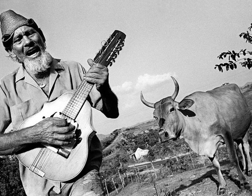 raul canibano