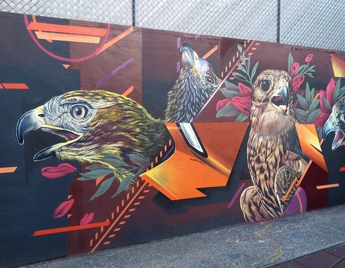 Galería de arte callejero de Nashi Bime - México