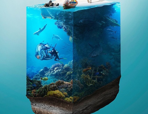 Gallery Of Illustration By Jackusefot - Brazil