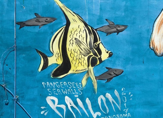 Mateus Bailon