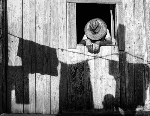 raul canibano