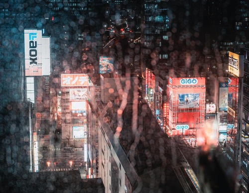Gallery Of Photography By Junya Watanabe - Japan