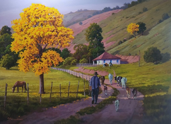 aluizio fernandes