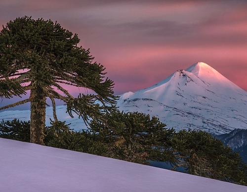 Gallery Of Photography By Jaime Garcés - Chile