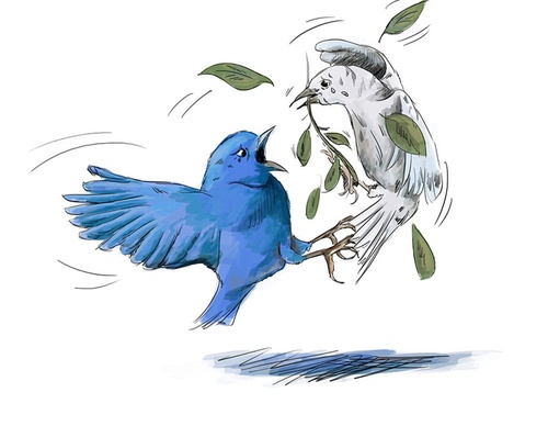 terror online cartoons