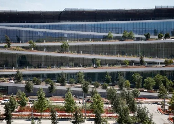 Artistas latinos MACLA e Montalvo se unem para exposição