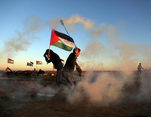 Galería de fotografías de Mohammed Zaanoun - Palestina