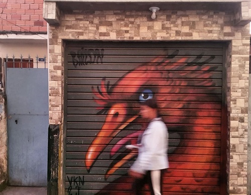 Gallery Of Street Art By Bailon - Brazil