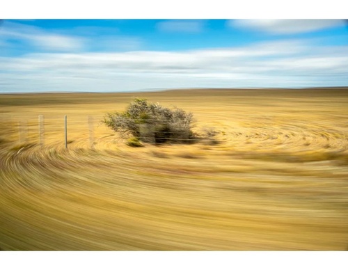 Gallery of Photography by Héctor Millar-Chile