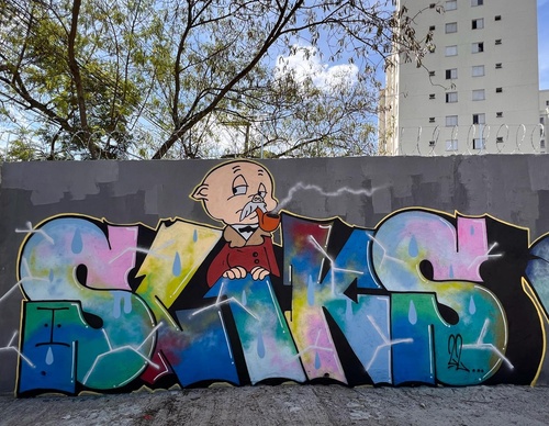 Gallery Of Street Art By Rafael Sliks - Brazil