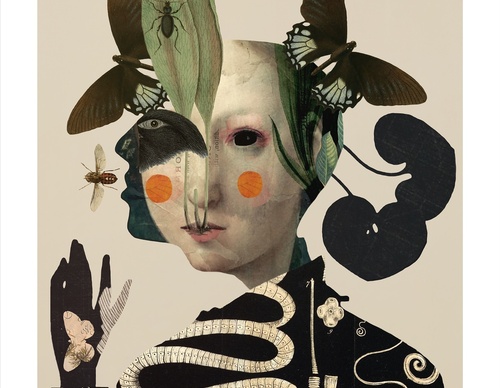 Galeria de ilustrações de Sarah Jarrett - Jamaica