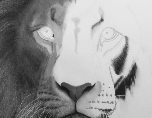 Gallery Of Realistic Painting By Emma Towers Evans - Brazil