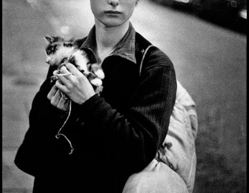 bruce davidson