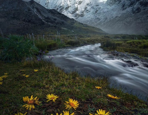 Gallery Of Photography By Max Rive - Netherlands