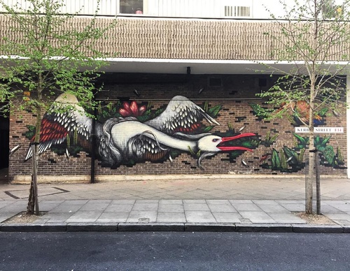 Gallery Of Street Art By Bailon - Brazil