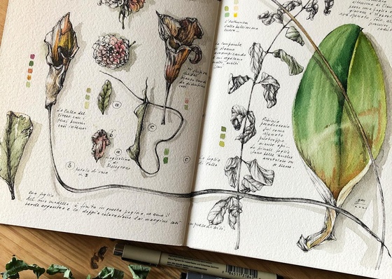 Gallery of Drawing by GiacoMina Ferrillo-Italy