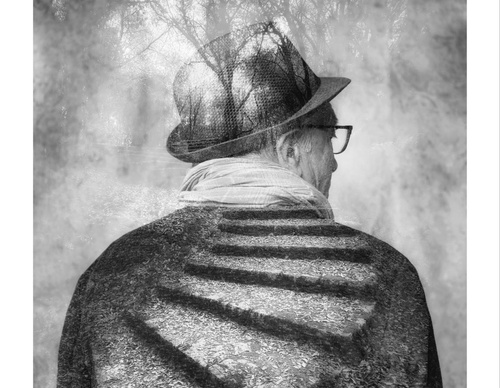 Galería de Fotografía de Luis Salazar-Espania