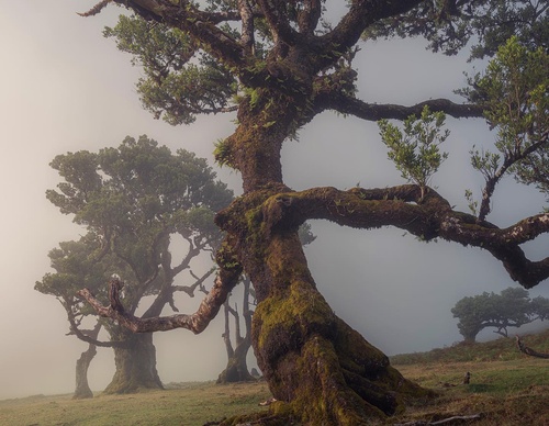 Galería de fotografía de Jorge Reinaldo - Portugal