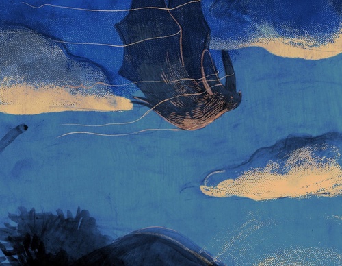 elizabeth builes