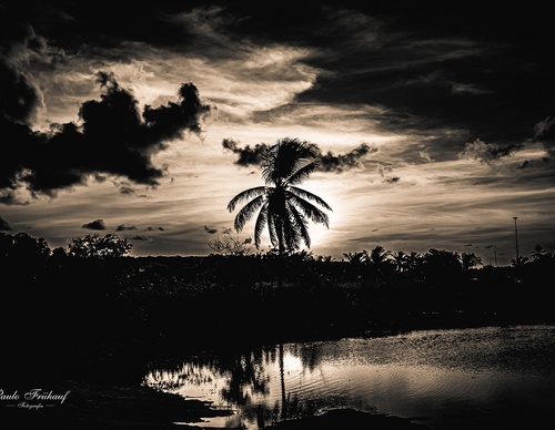 Gallery Of Photography By Norberto Kreutzer Fruhauf - Brazil