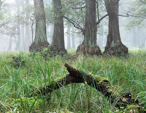 Gallery Of Photography By Mads Peter - Danish