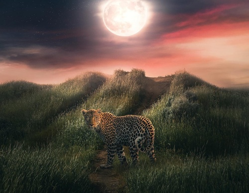 Galería de fotografías de Evgeny Gammer - Rusia