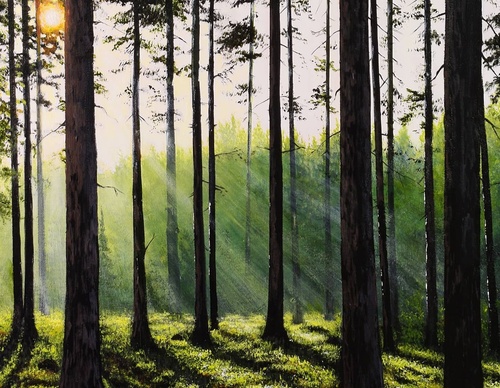 Gallery Of Painting By Tomi Anttila - Finland