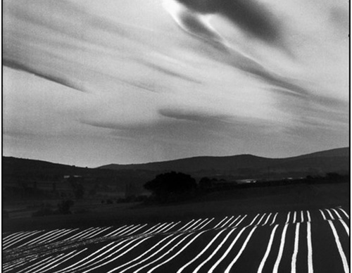 martine franck
