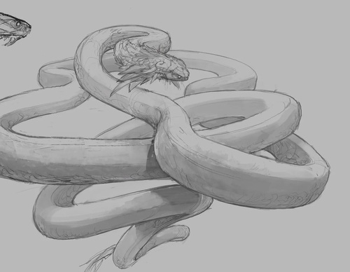 Gallery Of Illustration By Miguel Membreño - ElSalvador