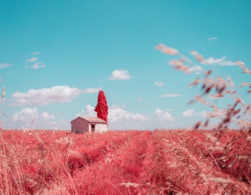 Gallery Of Photography By Paolo Pettigiani - Italy