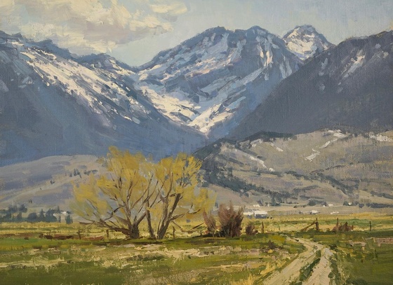 Aaron Schuerr