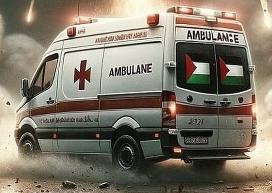 Gallery Of Illustration For Gaza_4