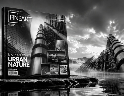 CAMERAPIXO | BELAS-ARTES | NATUREZA URBANA EM PRETO E BRANCO