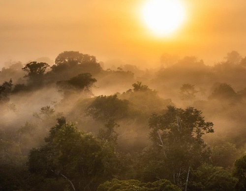 Gallery Of Photography By Fernando Faciole - Brazil
