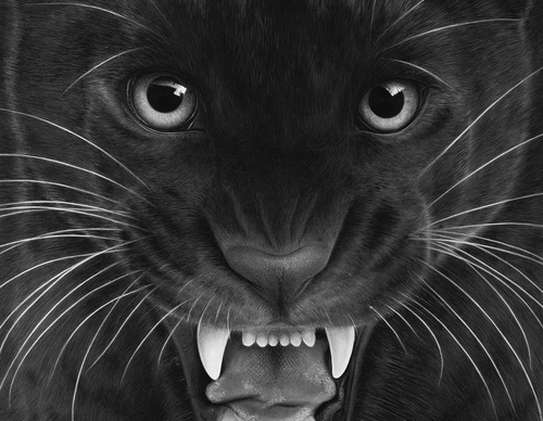 Gallery Of Realistic Painting By Emma Towers Evans - Brazil