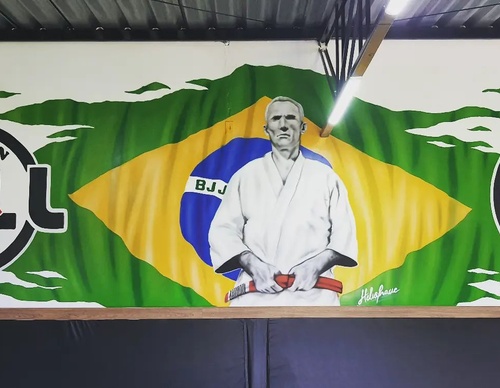 Gallery Of Street Art By Diego Forms - Brazil