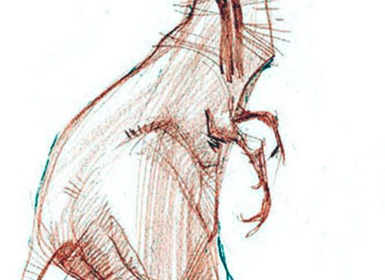 Hamid Bahrami