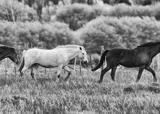 Gallery Of Photography By Patricio Rodriguez - Argentina