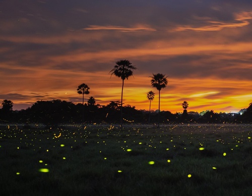 Gallery Of Photography By Keith Ladzinski - Brazil