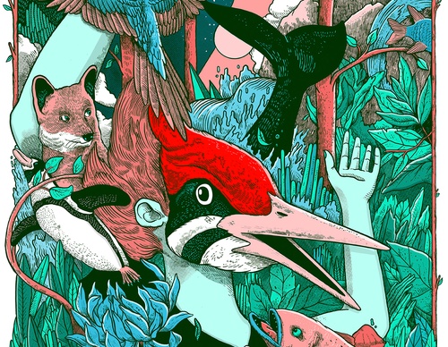 Galería De Ilustración De Alvaro Arteaga-Chile