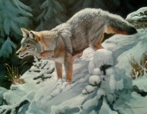 jorge castrillon
