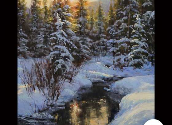 Aaron Schuerr